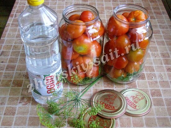 pomidori bez sterilizac 4